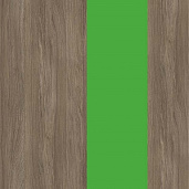 Дуб Аризона / Зеленый
