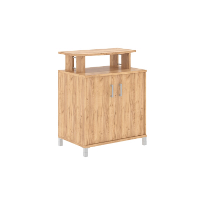 Фригобар (без холодильника) Born B 450.1